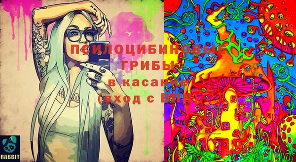 амф Протвино