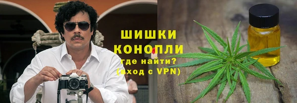амф Протвино