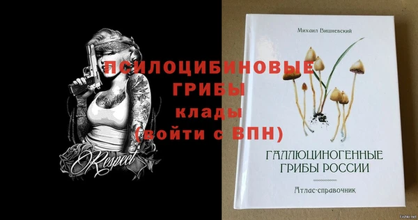 бутират Пролетарск