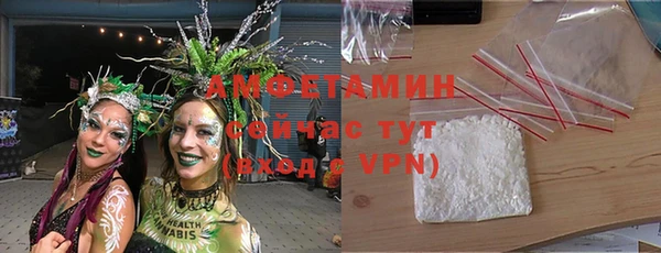 амф Протвино