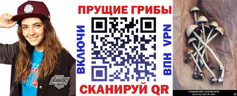 Галлюциногенные грибы MAGIC MUSHROOMS где найти наркотики Североморск
