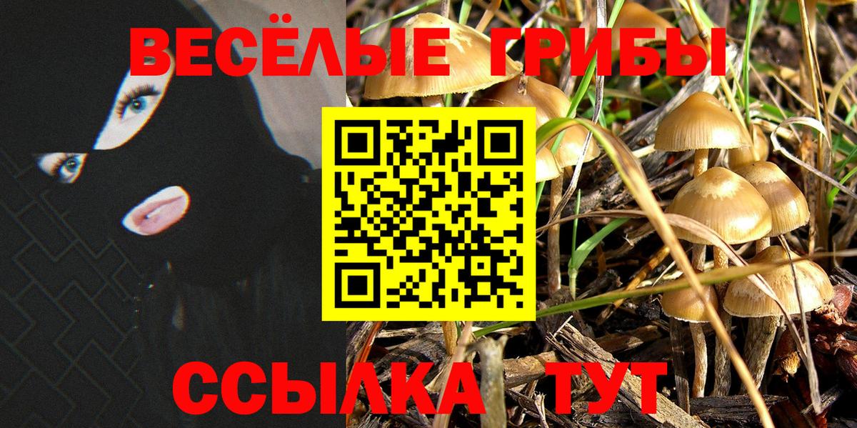 Псилоцибиновые грибы Magic Shrooms  Псилоцибиновые грибы прущие грибы  Вход с VPN  Североморск 