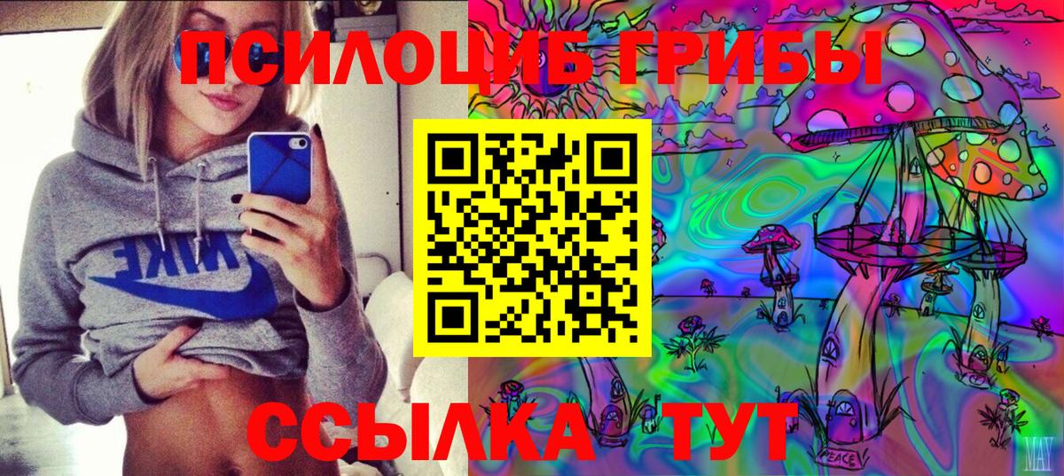 Галлюциногенные грибы Cubensis  Североморск 