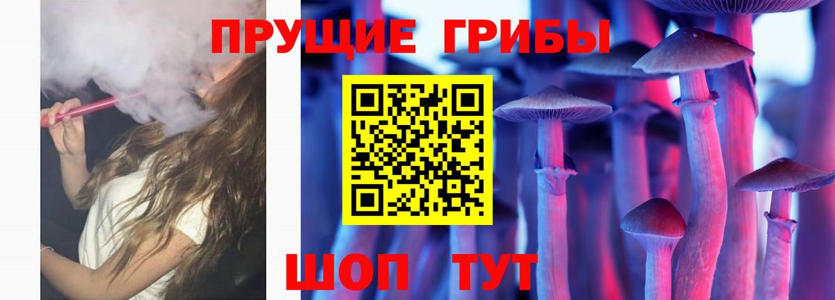 Псилоцибиновые грибы Magic Shrooms  купить наркотик  Североморск  Псилоцибиновые грибы Magic Shrooms 