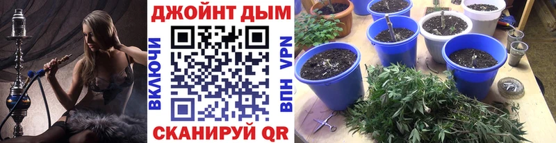 Марихуана SATIVA & INDICA Североморск